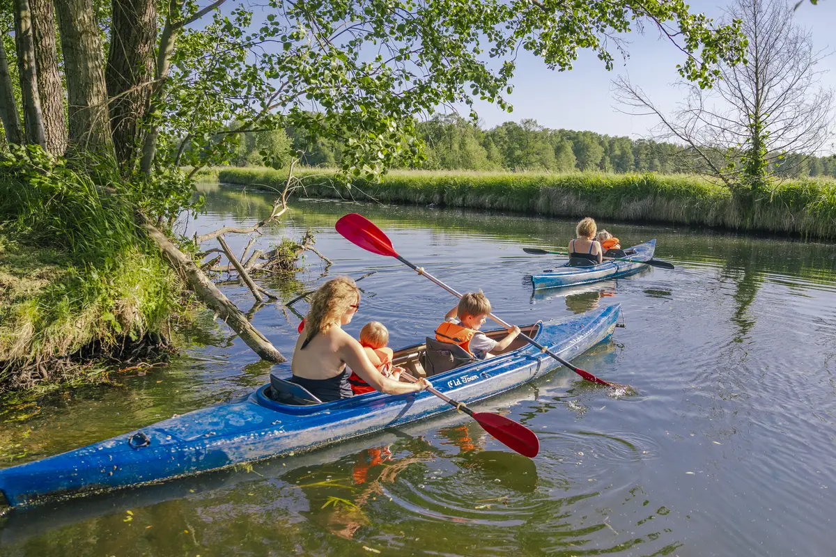 Familien paddeln mit Kajaks auf einem ruhigen Spreewaldfließ
